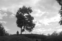 /album/galerie-photos/dsc-0021-jpg/