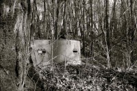 /album/galerie-photos/guet-jpg/