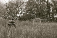 /album/galerie-photos/herbe2-jpg/