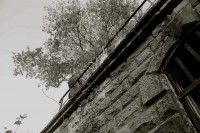 /album/galerie-photos/a13-6bis-jpg/