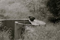 /album/galerie-photos/casque-escargot-jpg/