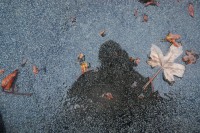 /album/galerie-photos/dsc-0037-jpg/